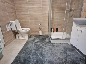 Pronájem bytu 3+kk, Pětikozly, 81 m2