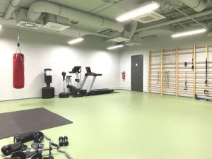 Prodej bytu 1+kk, Praha - Smíchov, Kobrova, 54 m2