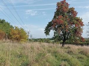 Prodej pozemku pro bydlení, Kouřim, Na Salabce, 1550 m2