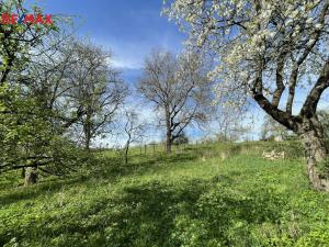 Prodej rodinného domu, Valašské Klobouky - Mirošov, 174 m2