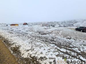 Prodej zahrady, Ruprechtov, 755 m2