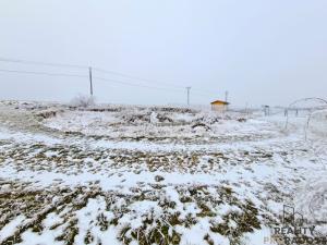 Prodej zahrady, Ruprechtov, 755 m2