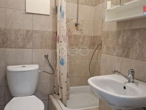 Pronájem bytu 1+kk, Kopřivnice, Záhumenní, 20 m2