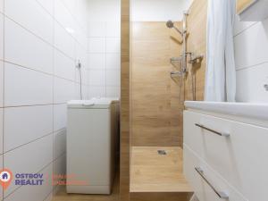 Prodej bytu 2+1, Olomouc, Dělnická, 53 m2