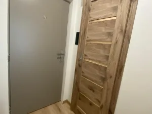 Pronájem bytu 1+kk, Most, U Věžových domů, 22 m2