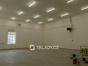 Pronájem skladu, Mladá Boleslav, 500 m2