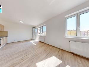 Pronájem bytu 1+kk, Plzeň, Rejskova, 49 m2