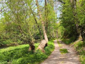 Prodej chaty, Plasy, Bohumila Slámy, 29 m2