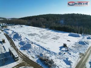 Pronájem výrobních prostor, Tachov - Oldřichov, 14074 m2