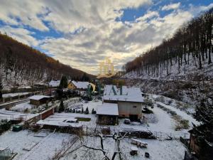 Prodej rodinného domu, Litvínov, Hornická, 2423 m2