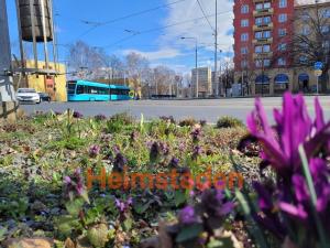 Pronájem kanceláře, Ostrava - Poruba, 17. listopadu, 126 m2