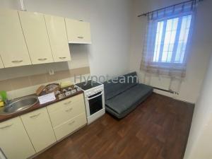Pronájem bytu 1+kk, Ústí nad Labem - Klíše, Bozděchova, 19 m2