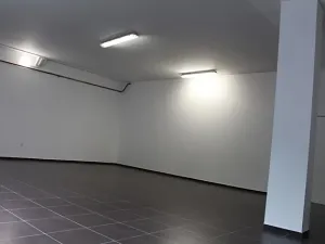 Pronájem obchodního prostoru, Prostějov, Wolkerova, 210 m2