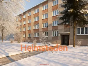 Pronájem bytu 1+1, Karviná - Nové Město, Havířská, 37 m2