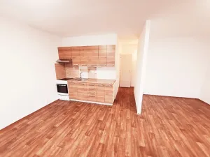 Pronájem bytu 2+kk, Litoměřice, Revoluční, 42 m2