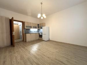 Pronájem bytu 1+kk, Plzeň - Jižní Předměstí, Vrchlického, 28 m2