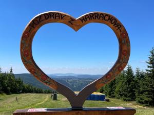 Pronájem bytu 1+kk, Harrachov, 38 m2