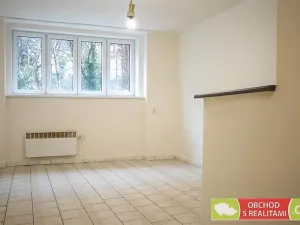 Pronájem bytu 1+kk, Praha - Nusle, Sdružení, 25 m2