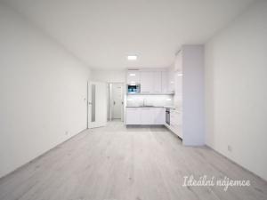 Pronájem bytu 1+kk, Brno - Ponava, Reissigova, 35 m2