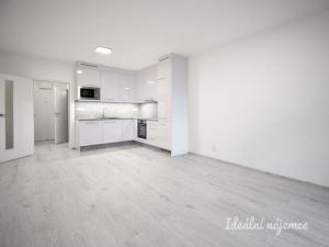 Pronájem bytu 1+kk, Brno - Ponava, Reissigova, 35 m2