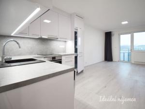 Pronájem bytu 1+kk, Brno - Ponava, Reissigova, 35 m2