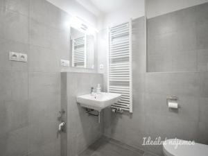 Pronájem bytu 1+kk, Brno - Ponava, Reissigova, 35 m2