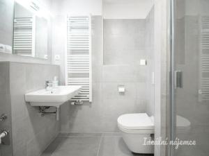 Pronájem bytu 1+kk, Brno - Ponava, Reissigova, 35 m2