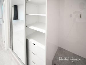 Pronájem bytu 1+kk, Brno - Ponava, Reissigova, 35 m2