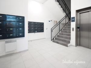 Pronájem bytu 1+kk, Brno - Ponava, Reissigova, 35 m2