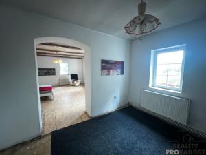 Prodej chalupy, Boleboř - Orasín, 374 m2