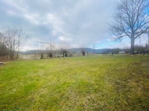 Prodej pozemku, Velké Chvojno, 1006 m2