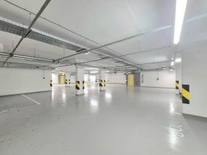 Pronájem bytu 2+kk, Praha - Nusle, Závišova, 50 m2