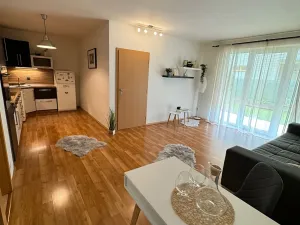 Prodej bytu 2+kk, Písek, Karla Boromejského, 90 m2