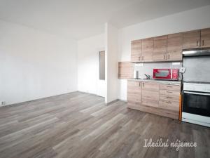 Pronájem bytu 1+kk, Brno - Židenice, Velkopavlovická, 30 m2