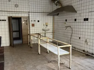 Pronájem komerční nemovitosti, Kralovice, Markova tř., 570 m2