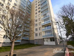 Pronájem bytu 3+1, Brno, Havelkova, 63 m2