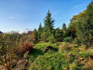 Prodej rodinného domu, Černé Voděrady, Zvánovická, 237 m2