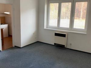 Pronájem bytu 1+1, Králův Dvůr, Na Louce, 32 m2