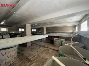 Prodej zemědělského objektu, Velká Losenice, 524 m2