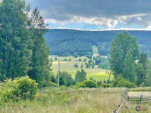 Prodej pozemku pro bydlení, Orlické Záhoří, 3001 m2