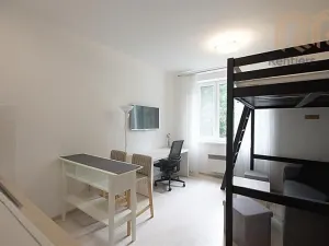 Pronájem bytu 1+kk, Praha - Záběhlice, Záběhlická, 22 m2