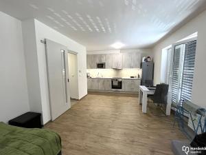 Pronájem bytu 1+kk, Olomouc, Dolní novosadská, 36 m2