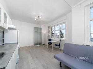 Pronájem bytu 1+kk, Praha - Podolí, Pravá, 27 m2