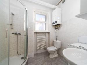 Pronájem bytu 1+kk, Praha - Podolí, Pravá, 27 m2
