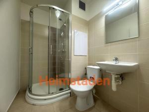 Pronájem bytu 1+1, Karviná - Hranice, Slovenská, 36 m2