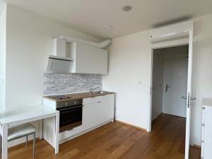 Pronájem bytu 1+kk, Praha - Vinohrady, Perucká, 24 m2