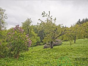 Prodej louky, Branná, 2772 m2
