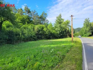 Prodej louky, Sýkořice, 3885 m2