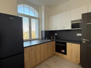 Pronájem bytu 1+kk, Ústí nad Labem - Střekov, Žukovova, 29 m2