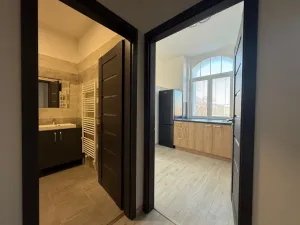 Pronájem bytu 1+kk, Ústí nad Labem - Střekov, Žukovova, 29 m2